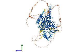 AlphaFold protein structure predicition of Mouse Recombinant Osbp2 Protein, UniprotID Q5QNQ6