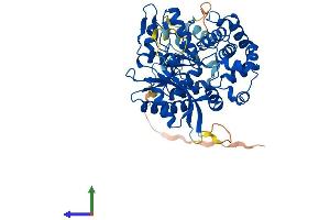 AlphaFold protein structure predicition of Human Recombinant POLM Protein, UniprotID Q9NP87