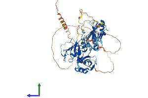 AlphaFold protein structure predicition of Mouse Recombinant Hnrnpll Protein, UniprotID Q921F4