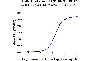 Immobilized Biotinylated Human LAG3, His Tag at 2 μg/mL (100 μL/well) on the plate.