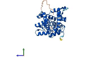 AlphaFold protein structure predicition of Human Recombinant SCD Protein, UniprotID O00767