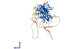 AlphaFold protein structure predicition of Mouse Recombinant Dtx2 Protein, UniprotID Q8R3P2