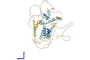 AlphaFold protein structure predicition of Mouse Recombinant Lcorl Protein, UniprotID Q3U285