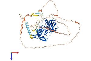 AlphaFold protein structure predicition of Human Recombinant DOK7 Protein, UniprotID Q18PE1
