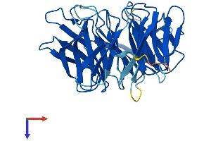 AlphaFold protein structure predicition of Human Recombinant NUP37 Protein, UniprotID Q8NFH4