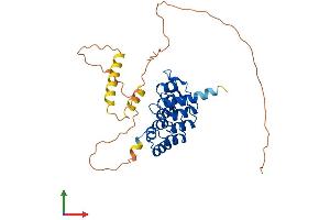 AlphaFold protein structure predicition of Human Recombinant ANKRA2 Protein, UniprotID Q9H9E1