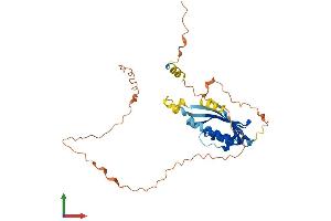 AlphaFold protein structure predicition of Human Recombinant C6orf136 Protein, UniprotID Q5SQH8