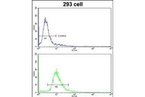 Flow cytometric analysis of 293 cells using ETHE1 Antibody (Center)(bottom histogram) compared to a negative control cell (top histogram).