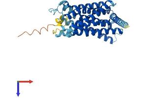 G Protein-Coupled Receptor 18 (GPR18) (AA 1-331) protein (His tag)