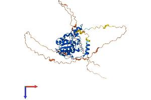 AlphaFold protein structure predicition of Mouse Recombinant Tdg Protein, UniprotID P56581