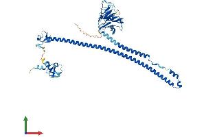 AlphaFold protein structure predicition of Mouse Recombinant Trim27 Protein, UniprotID Q62158