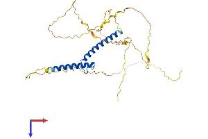 AlphaFold protein structure predicition of Mouse Recombinant Tal1 Protein, UniprotID P22091