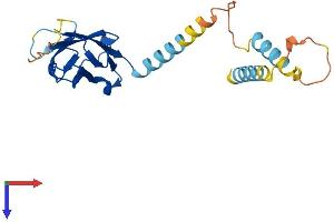 AlphaFold protein structure predicition of Human Recombinant MOSPD1 Protein, UniprotID Q9UJG1