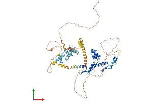 AlphaFold protein structure predicition of Human Recombinant ZKSCAN1 Protein, UniprotID P17029