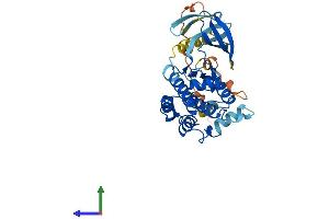 AlphaFold protein structure predicition of Mouse Recombinant Map2k6 Protein, UniprotID P70236