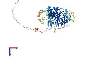 AlphaFold protein structure predicition of Human Recombinant ELP4 Protein, UniprotID Q96EB1