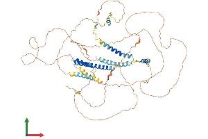 AlphaFold protein structure predicition of Mouse Recombinant Cnst Protein, UniprotID Q8CBC4