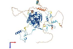 AlphaFold protein structure predicition of Human Recombinant GNL2 Protein, UniprotID Q13823