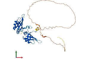 AlphaFold protein structure predicition of Mouse Recombinant Hnrnpa0 Protein, UniprotID Q9CX86