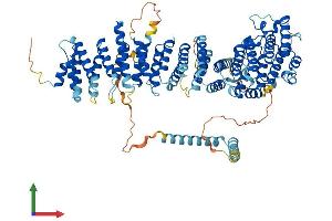 AlphaFold protein structure predicition of Mouse Recombinant Efr3b Protein, UniprotID Q6ZQ18