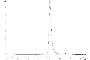 The purity of Human PLD4 is greater than 95 % as determined by SEC-HPLC.
