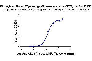 Immobilized Biotinylated Human/Cynomolgus/Rhesus macaque CD28 at 0.