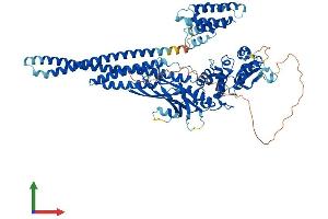 AlphaFold protein structure predicition of Mouse Recombinant Stat5b Protein, UniprotID P42232
