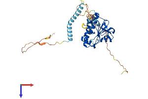 AlphaFold protein structure predicition of Human Recombinant TRMT10A Protein, UniprotID Q8TBZ6