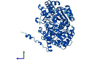 AlphaFold protein structure predicition of Mouse Recombinant Uroc1 Protein, UniprotID Q8VC12