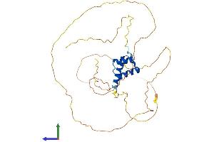 AlphaFold protein structure predicition of Human Recombinant OTX1 Protein, UniprotID P32242