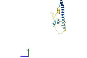 AlphaFold protein structure predicition of Mouse Recombinant Cplx1 Protein, UniprotID P63040