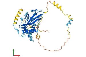 AlphaFold protein structure predicition of Mouse Recombinant Atg3 Protein, UniprotID Q9CPX6