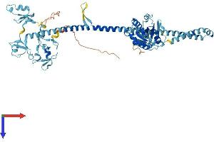 AlphaFold protein structure predicition of Mouse Recombinant Trim23 Protein, UniprotID Q8BGX0