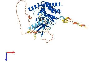 AlphaFold protein structure predicition of Mouse Recombinant Ip6k1 Protein, UniprotID Q6PD10