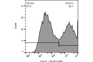Flow cytometry analysis (surface staining) of CD261-transfected HEK-293 cells with anti-CD261/TRAIL-R1 (DR-4-02) PE.