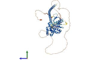 AlphaFold protein structure predicition of Mouse Recombinant Arhgap25 Protein, UniprotID Q8BYW1