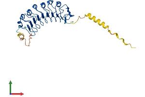 AlphaFold protein structure predicition of Human Recombinant LRRC10 Protein, UniprotID Q5BKY1