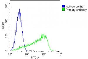 Overlay histogram showing NIH/3T3 cells stained with (ABIN654882 and ABIN2844536)(green line).