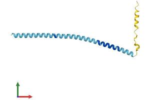 AlphaFold protein structure predicition of Mouse Recombinant Sncg Protein, UniprotID Q9Z0F7