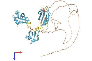 AlphaFold protein structure predicition of Human Recombinant HNRNPH1 Protein, UniprotID P31943