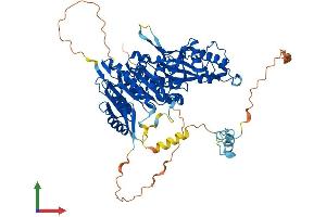 AlphaFold protein structure predicition of Human Recombinant TRMT1 Protein, UniprotID Q9NXH9