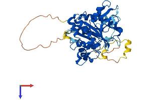 AlphaFold protein structure predicition of Mouse Recombinant Atg4b Protein, UniprotID Q8BGE6