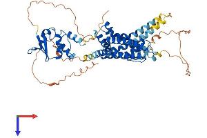 AlphaFold protein structure predicition of Mouse Recombinant Kcna6 Protein, UniprotID Q61923