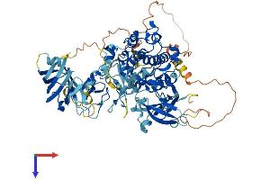 AlphaFold protein structure predicition of Mouse Recombinant Prkce Protein, UniprotID P16054