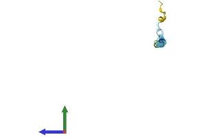 AlphaFold protein structure predicition of Human Recombinant SPRR2G Protein, UniprotID Q9BYE4