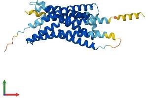 AlphaFold protein structure predicition of Mouse Recombinant Gpr55 Protein, UniprotID Q3UJF0