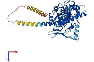 AlphaFold protein structure predicition of Mouse Recombinant Dgat2 Protein, UniprotID Q9DCV3