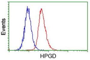 Flow Cytometry (FACS) image for anti-Hydroxyprostaglandin Dehydrogenase 15-(NAD) (HPGD) antibody (ABIN1496361) (HPGD anticorps)