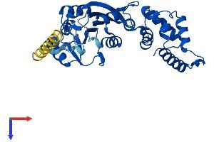AlphaFold protein structure predicition of Mouse Recombinant Dimt1 Protein, UniprotID Q9D0D4