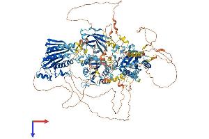 AlphaFold protein structure predicition of Human Recombinant PITPNM2 Protein, UniprotID Q9BZ72